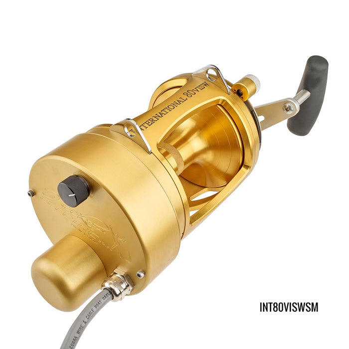 Penn International VI Electric Standard